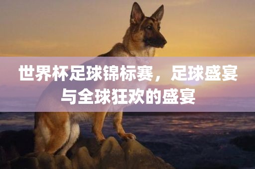 世界杯足球锦标赛，足球盛宴与全球狂欢的盛宴