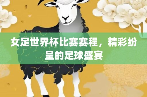女足世界杯比赛赛程，精彩纷呈的足江门市永晋源无纺布有限公司球盛宴