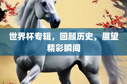 世界杯专辑，回顾历史，展望精彩瞬间江门市永晋源无纺布有限公司