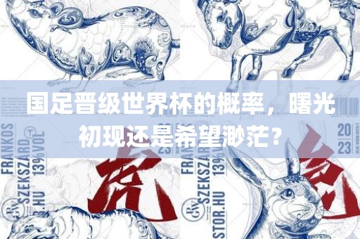 国足晋级世界杯的概率，曙光初现还是希望渺茫？