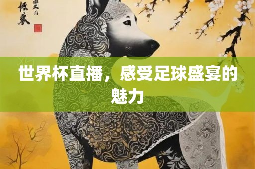 世界杯直播，感受足球盛宴的魅力