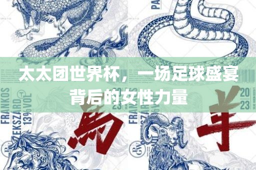 太太团世界杯，一场足球盛宴背后的女性力量江门市永晋源无纺布有限公司