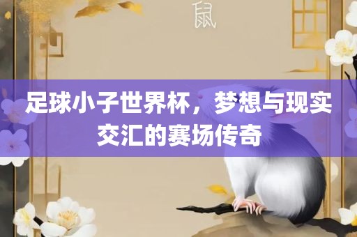 足球小子世界杯，梦想与现实交汇的赛场传奇