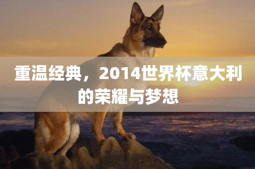 重温经典，2014世界杯意大利的荣耀与梦想