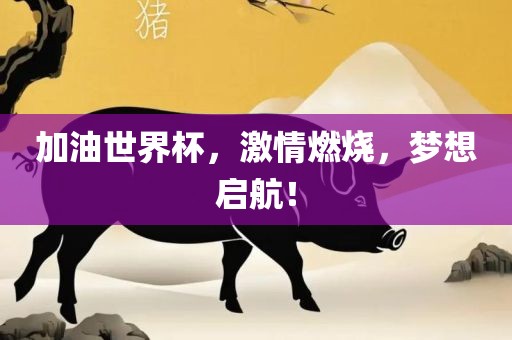 加油世界杯，激情燃烧，梦想启航！江门市永晋源无纺布有限公司