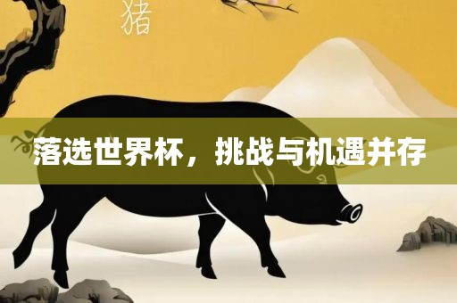 落江门市永晋源无纺布有限公司选世界杯，挑战与机遇并存