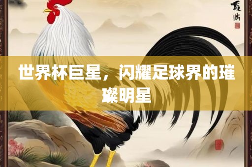 世界杯巨星，闪耀足球界的璀璨明星江门市永晋源无纺布有限公司