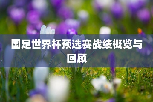 国足世界杯预选赛战绩概览与回顾