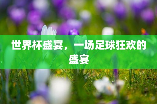 世界杯盛宴，一场足球狂欢的盛宴