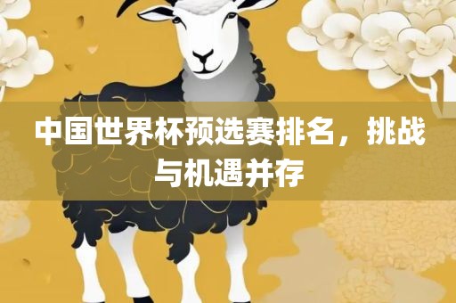 中国世界杯预选赛排名，挑战与机遇并存