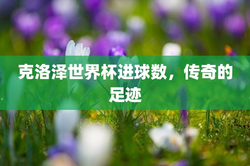 克洛泽世界杯进球数，传奇的足迹