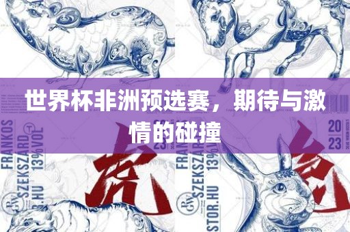 世界杯非洲预选赛，期待与激情的碰撞