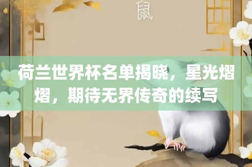 荷兰世界杯名单揭晓，星光熠熠，期待无界传奇的续写