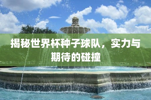 揭秘世界杯种子球队，实力与期待的碰撞江门市永晋源无纺布有限公司