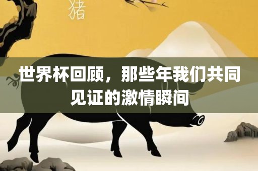 世界杯回顾，那些年我们共同见证的激情瞬间