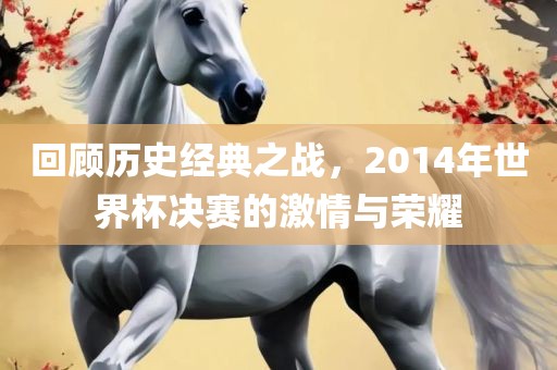 回顾历史经典之战，2014年世界杯决赛的激情与荣耀