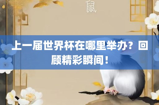 上一届世界杯在哪里举办？回顾精彩瞬间！