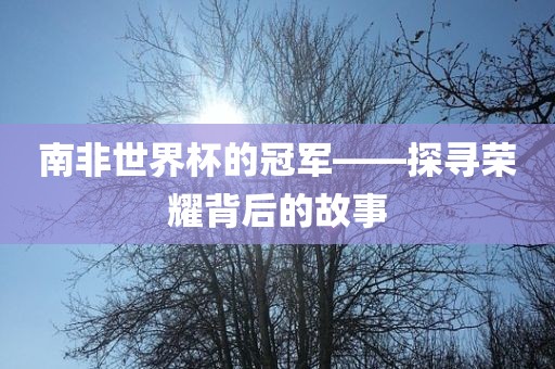 南非世界杯的冠军——探寻荣耀背后的故事