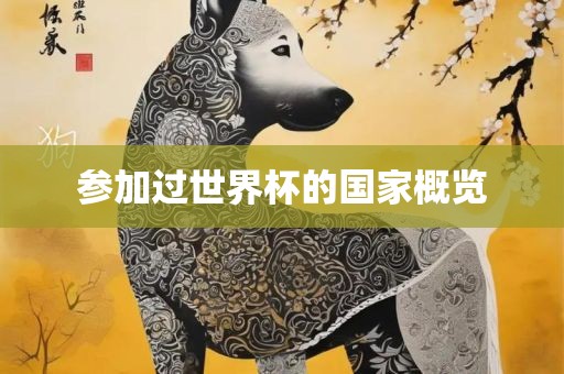 参加过世界杯的国家概览江门市永晋源无纺布有限公司
