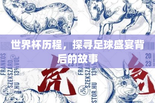 世界杯历程，探寻足球盛宴背后的故事