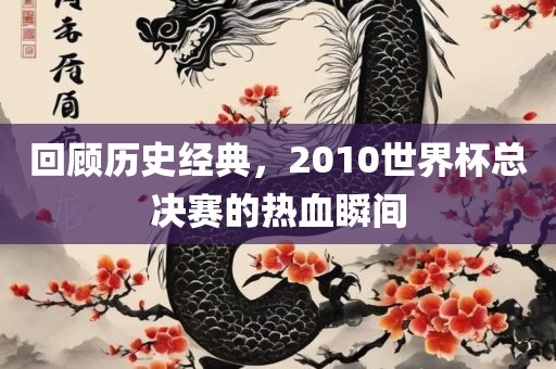 回顾历史经典，2010世界杯总决赛的热血瞬间