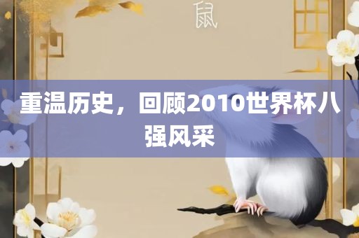 重温历史，回顾2010世界杯八强风采