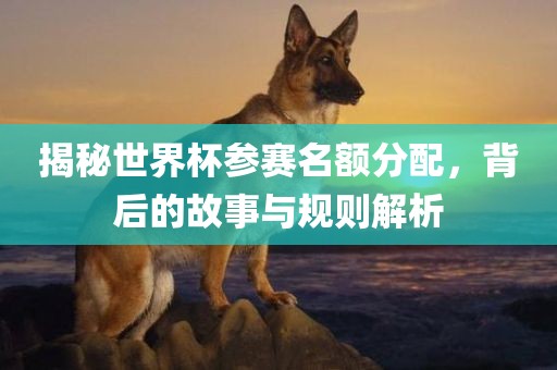 揭秘世界杯参赛名额分配，背后的故事与规则解析江门市永晋源无纺布有限公司