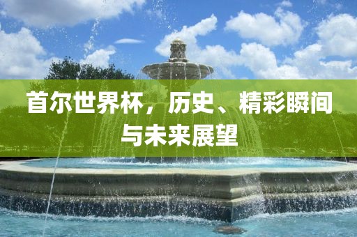 首尔世界杯，历史、精彩瞬间与未来展望
