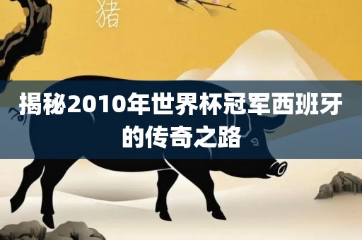 揭秘2010年世界杯冠军西班牙的传奇之路