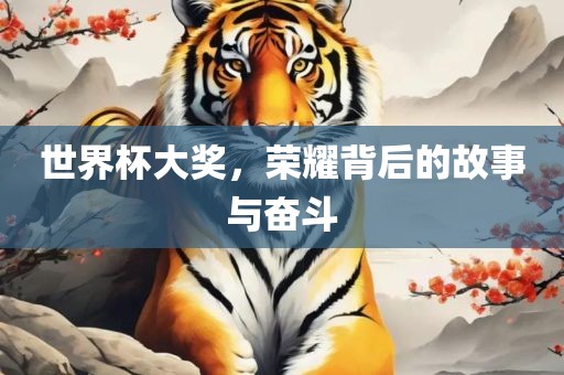 世界杯大奖，荣耀背后的故事与奋斗