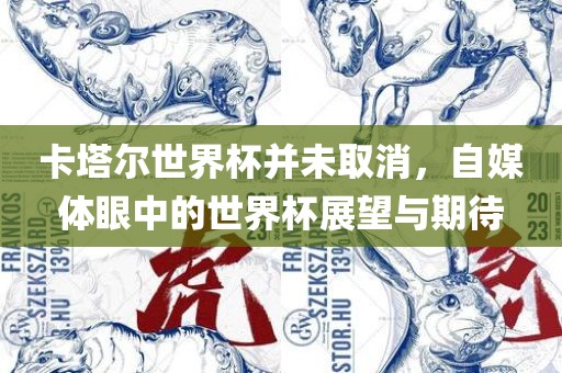 卡塔尔世界杯并未取消，自媒体眼中的世界杯展望与期待江门市永晋源无纺布有限公司