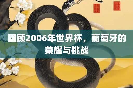 回顾2006年世界杯，葡萄牙的荣耀与挑战