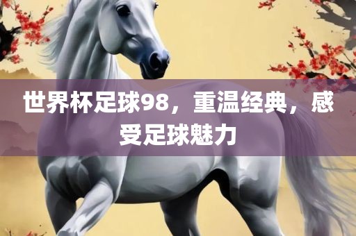 世界杯足球98，重温经典，感受足球魅力