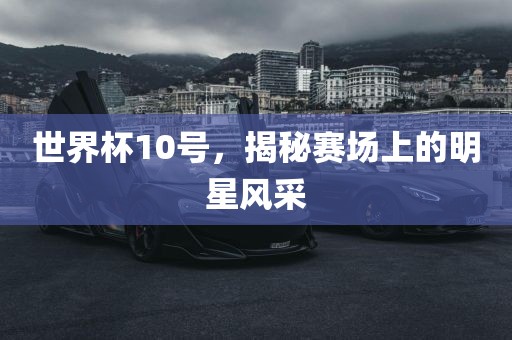 世界杯10号，揭秘赛场上的明星风采