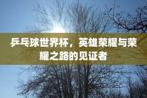 乒乓球世界杯，英雄荣耀与荣耀之路的见证者