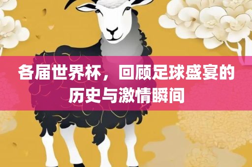各届世界杯，回顾足球盛宴的历史与激情瞬间