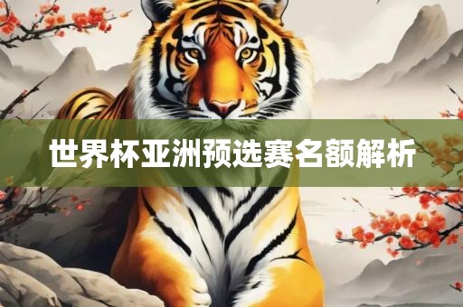 世界杯亚洲预选赛名额解析