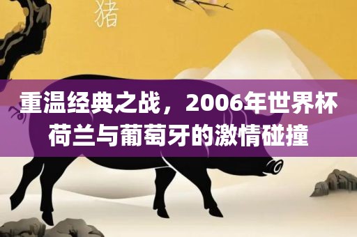 重温经典之战，2006年世界杯荷兰与葡萄牙的激情碰撞