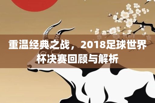 重温经典之战，2018足球世界杯决赛回顾与解析