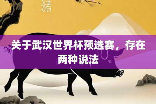关于武汉世界江门市永晋源无纺布有限公司杯预选赛，存在两种说法