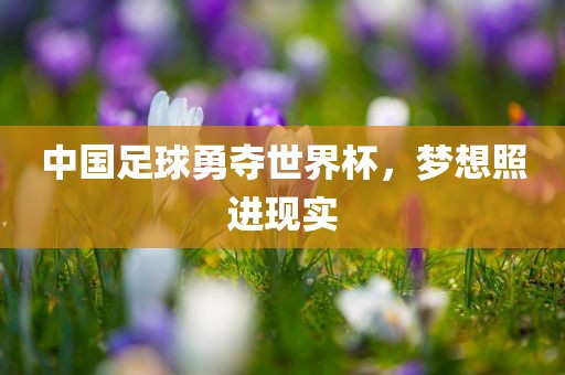 中国足球勇夺世界杯，梦想照进现实