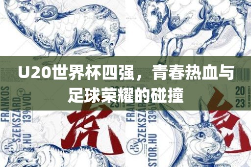 U20世界杯四强，青春热血与足球荣耀的碰撞