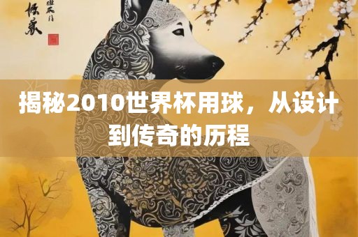 揭秘2010世界杯用球，从设计到传奇的历程
