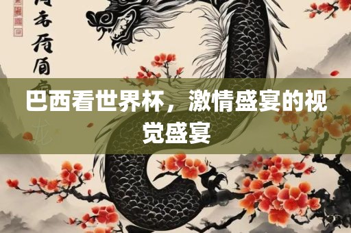 巴西看世界杯，激情盛宴的视觉盛宴