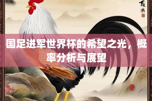 国足进军世界杯的希望之光，概率分析与展望