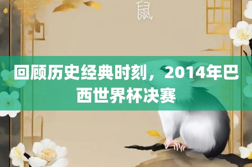 回顾历史经典时刻，2014年巴西世界杯决赛