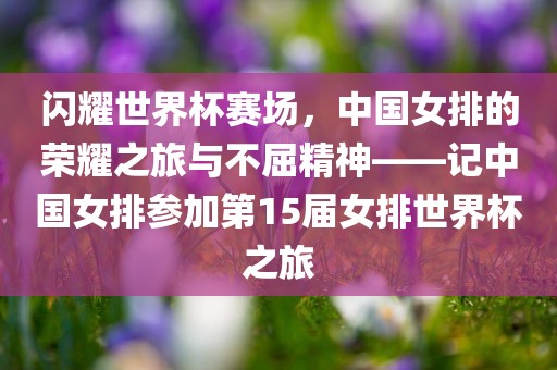 闪耀世界杯赛场，中国女排的荣耀之旅与不屈精神——记中国女排参加第15届女排世界杯之旅