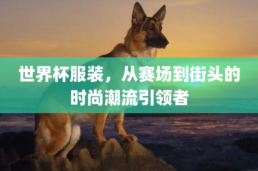 xinyu 第4页