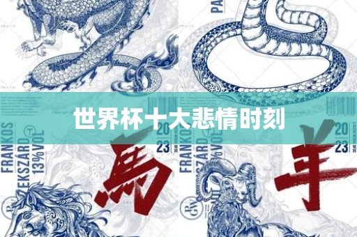 世界杯十大悲情时刻