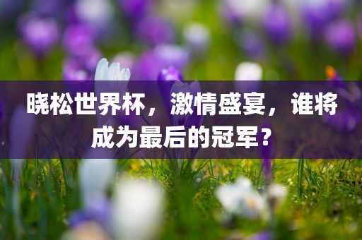 晓松世界杯，激情盛宴，谁将成为最后的冠军？